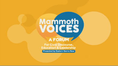 mammoth voices
