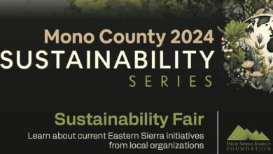 mono county sustainability fair