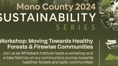 Mono County Sustainability Series forest firewise